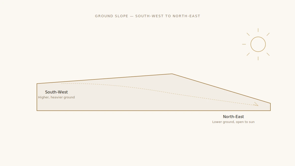 Ground slope cross-section from South-West high to North-East low — DesigningAxis by Shivani